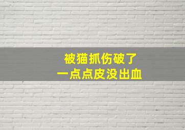 被猫抓伤破了一点点皮没出血