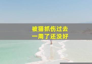 被猫抓伤过去一周了还没好