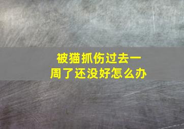 被猫抓伤过去一周了还没好怎么办