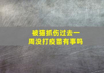 被猫抓伤过去一周没打疫苗有事吗