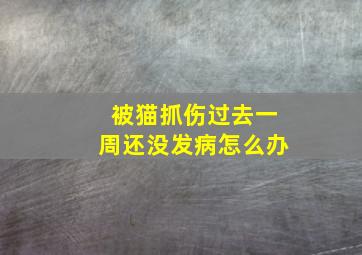 被猫抓伤过去一周还没发病怎么办