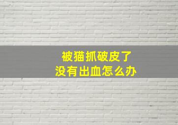 被猫抓破皮了没有出血怎么办