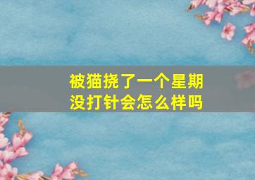 被猫挠了一个星期没打针会怎么样吗