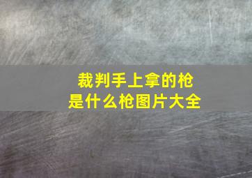 裁判手上拿的枪是什么枪图片大全