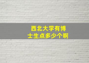 西北大学有博士生点多少个啊