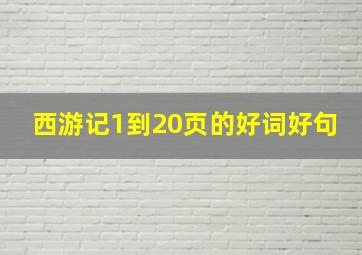 西游记1到20页的好词好句