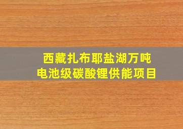 西藏扎布耶盐湖万吨电池级碳酸锂供能项目