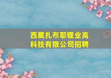 西藏扎布耶锂业高科技有限公司招聘