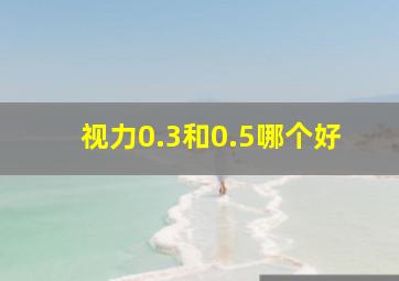 视力0.3和0.5哪个好