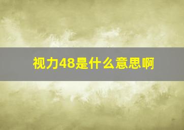 视力48是什么意思啊