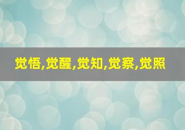 觉悟,觉醒,觉知,觉察,觉照