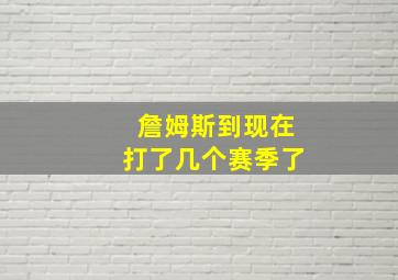 詹姆斯到现在打了几个赛季了