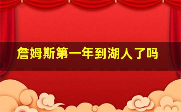 詹姆斯第一年到湖人了吗