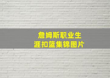 詹姆斯职业生涯扣篮集锦图片