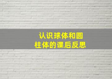 认识球体和圆柱体的课后反思