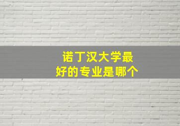 诺丁汉大学最好的专业是哪个