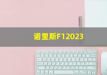 诺里斯F12023