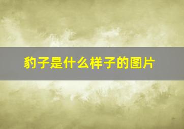 豹子是什么样子的图片