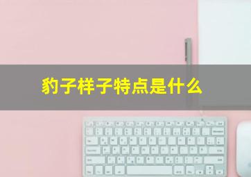 豹子样子特点是什么