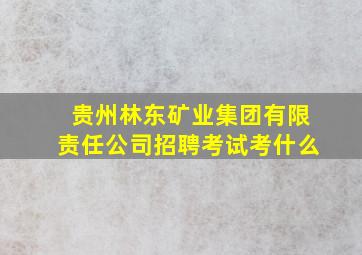 贵州林东矿业集团有限责任公司招聘考试考什么