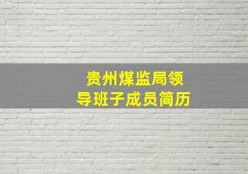 贵州煤监局领导班子成员简历