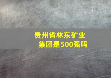 贵州省林东矿业集团是500强吗