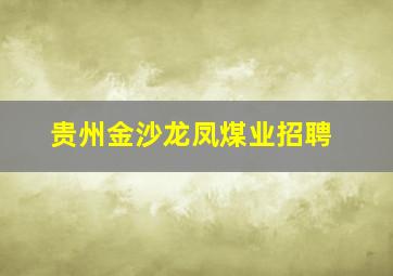 贵州金沙龙凤煤业招聘