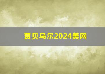 贾贝乌尔2024美网