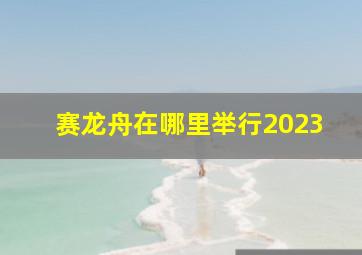 赛龙舟在哪里举行2023