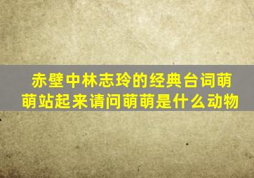 赤壁中林志玲的经典台词萌萌站起来请问萌萌是什么动物