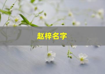 赵梓名字