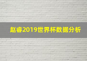 赵睿2019世界杯数据分析