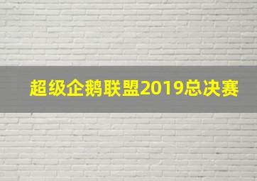 超级企鹅联盟2019总决赛