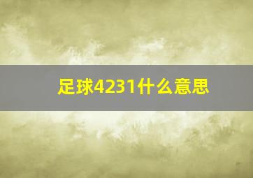 足球4231什么意思