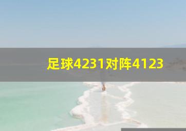 足球4231对阵4123