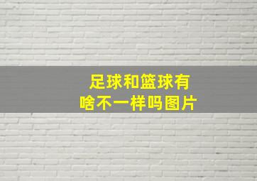 足球和篮球有啥不一样吗图片