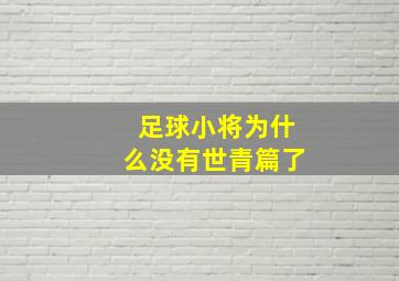 足球小将为什么没有世青篇了