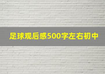 足球观后感500字左右初中