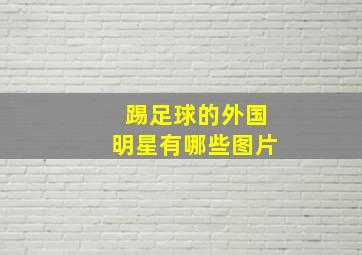 踢足球的外国明星有哪些图片