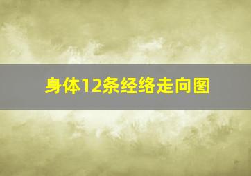 身体12条经络走向图