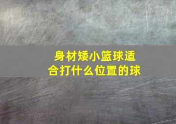 身材矮小篮球适合打什么位置的球