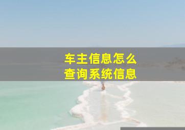 车主信息怎么查询系统信息