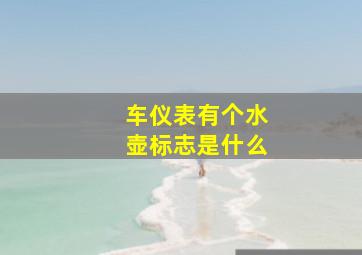 车仪表有个水壶标志是什么