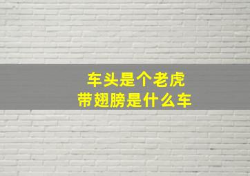 车头是个老虎带翅膀是什么车