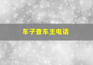 车子查车主电话