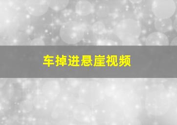 车掉进悬崖视频