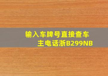 输入车牌号直接查车主电话浙B299NB