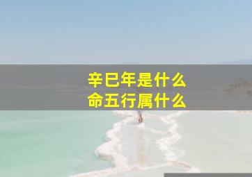 辛巳年是什么命五行属什么