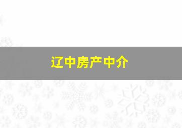 辽中房产中介