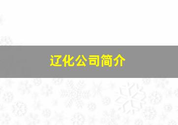 辽化公司简介